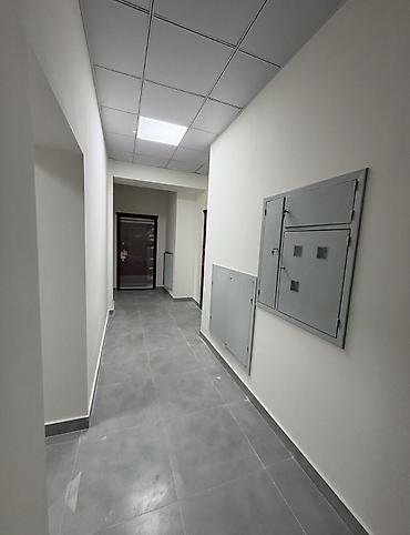 2025: 4 комнаты, 141 м², Золотой квадрат Элитка, 7 этаж, ПСО (под самоотделку) — 3