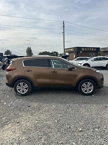 185 14 с: Kia Sportage: 2019 г., 2.4 л, Автомат, Бензин, Кроссовер — 3