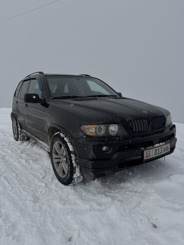 BMW: BMW X5: 2005 г., 4.4 л, Автомат, Бензин, Кроссовер