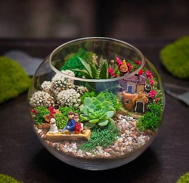 dekor sar: Şüşə qabda mini bağ – dekorativ terrarium - Şəffaf şar formalı şüşə — 1