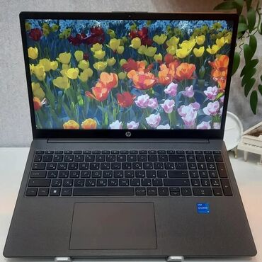 monster notebook: HP 15.6 ", Intel Core i5, 256 ГБ