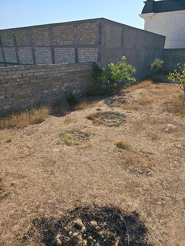 albali: 8 sot, Mülkiyyətçi, Kupça (Çıxarış) — 6