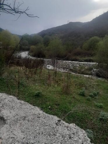 sumqayıt şəhəri tağıyev qəsəbəsində həyət və bina evləri: Kənd təsərrüfatı