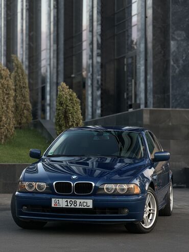 ноздри бмв: BMW 5 series: 2002 г., 2.5 л, Механика, Бензин, Седан