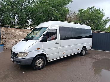124 e500: Mercedes-Benz Спринтер: 2003 г., Бус — 2