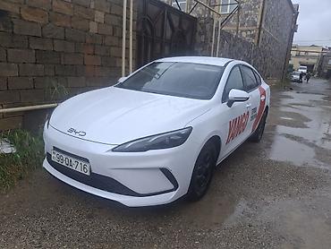 kreditle byd: BYD Qin Plus (sedan) – Yango brendli taksi üçün bükülü vinil reklam — 9