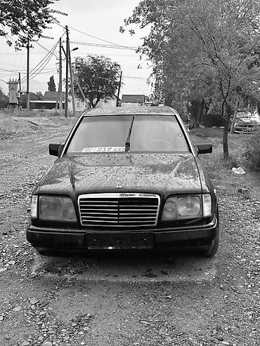 221 w221: Mercedes-Benz W124: 1993 г., 3.2 л, Автомат, Бензин, Седан — 3