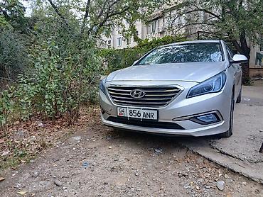 e55 amg w211: Hyundai Sonata: 2015 г., Автомат, Седан — 5