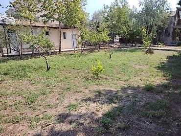 buzovnada torpaq: 5 sot, Tikinti, Makler, Kupça (Çıxarış) — 2
