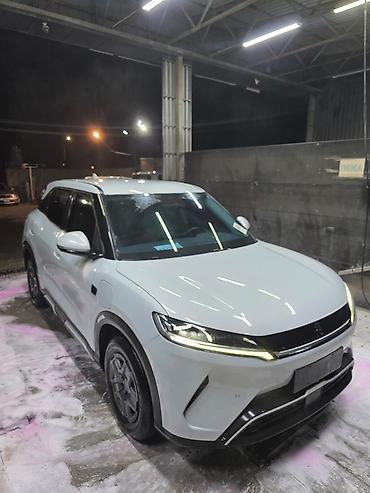 бид юань плюс: BYD Yuan Up: 2025 г. — 1