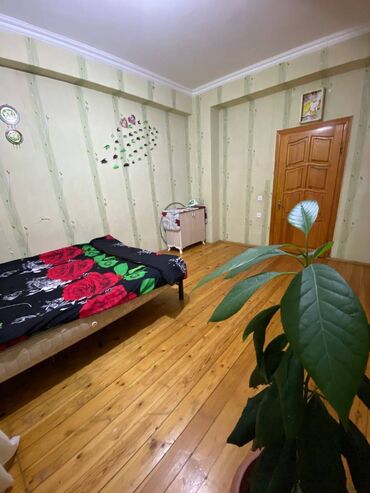 Yeni tikili: 3 otaqlı, Yeni tikili, m. Həzi Aslanov, 98 kv. m — 5