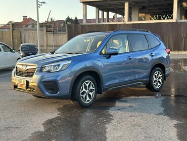 Subaru: Subaru Forester: 2019 г., 2.5 л, Вариатор, Бензин, Кроссовер