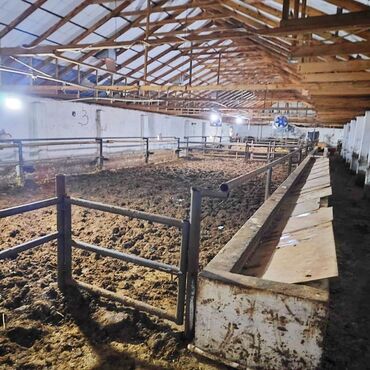 Torpaq sahələrinin satışı: Kənd təsərrüfatı, Mülkiyyətçi, Bələdiyyə, Kupça (Çıxarış) — 17