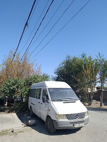 кажы сай: Mercedes-Benz Спринтер: 1997 г., 2.5 л, Кол менен иштөөчү, Van — 3