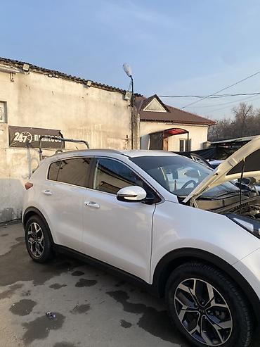 Kia: Kia Sportage: 2019 г., 1.6 л, Дизель, Кроссовер — 6