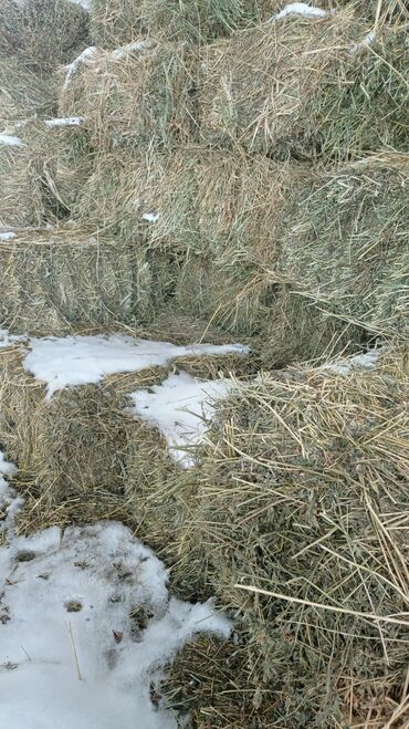 Корма для с/х животных: Срочно беде сатылат