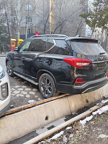 Ssangyong: Ssangyong Rexton: 2020 г., 2.2 л, Автомат, Дизель, Внедорожник — 2