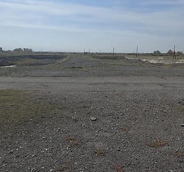 лидер: 15000 соток — 4