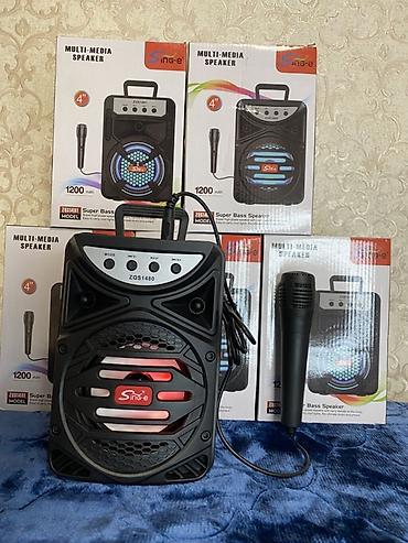 колонка микрафон: Колонки с микрофоном Аккумулятор 1200 mAh Хватит до 2 часов — 2