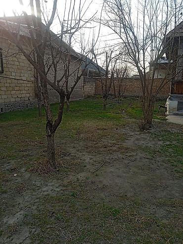mingecevirde torpaq satisi: 10 sot, Kənd təsərrüfatı, Mülkiyyətçi, Kupça (Çıxarış) — 7