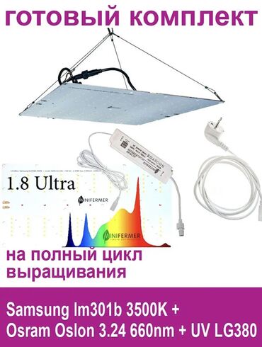 аренда лампы от желтушки: Продаю Фитолампу