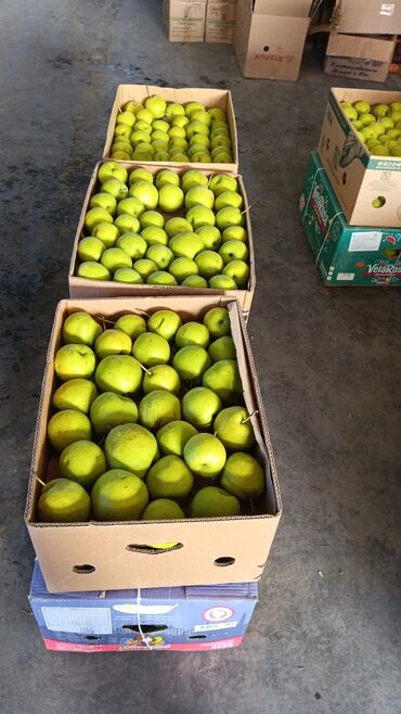 грибы сморчки: Свежие зелёные груша 🍐 Описание: - Сорт: зеленая крупноплодная груша
