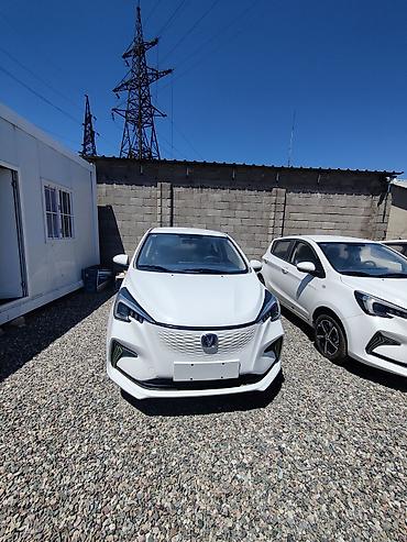 ру: Changan Benni: 2024 г., 0.1 л, Автомат, Электромобиль, Хэтчбэк — 1