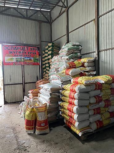 Кормовые растения: Семена кормовых растений: Эспарцет, Бесплатная доставка — 11