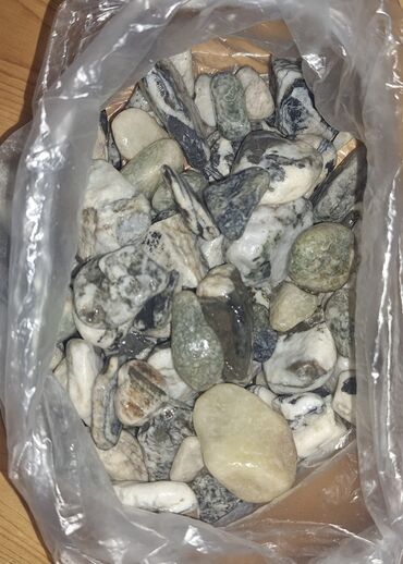 Akvariumlar: Dördbucaq akvarium, Balıqlarla birlikdə, 64 l, Ünvandan götürmə — 15