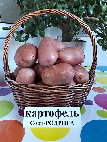 Удобрения и садовая химия: Удобрение Самовывоз — 19