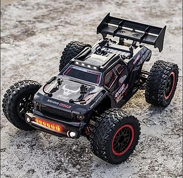 Бесколлекторная радиоуправляемая машина SG316 “BEAST” 4WD —