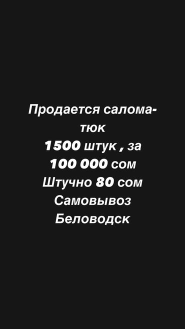 сено люцерны в тюках: Продается ячменная солома - тюк 1500 штук за 100000 сом Штучно В