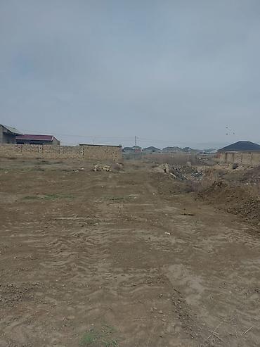 Torpaq: 8 sot, Tikinti, Maklerlər narahat etməsin, Kupça (Çıxarış) — 4