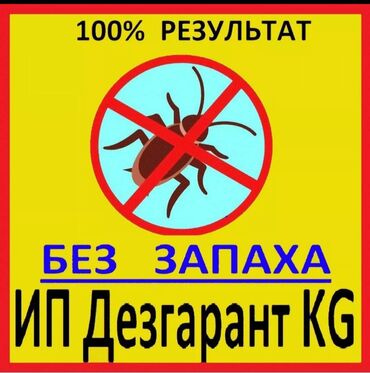 фары камри 30: Дезинфекция, дезинсекция, | Клопы, Блохи, Тараканы, | Транспорт