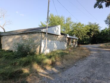 Tavalar: Bu kommersiya əmlakı geniş istifadə imkanları təklif edir və müxtəlif