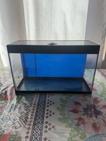 Akvariumlar: Akvaryum dəsti 1 akvaryum tezedi qalan herwey iwlenmiwdi ekseryeti az — 12