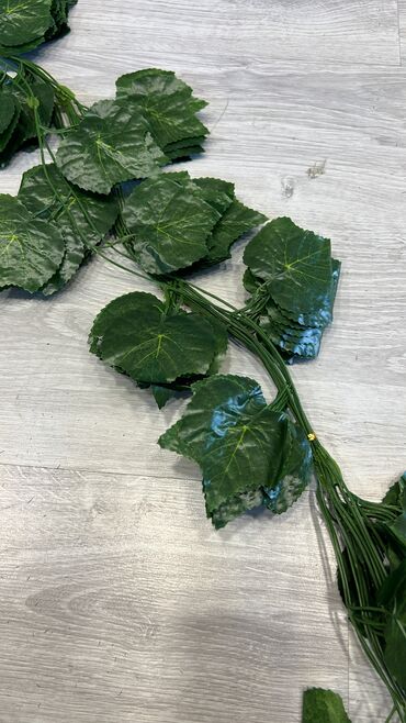 Toxumlar: 9 azn baslayan qiymetler Suni qazonlarin topdan satisi Suni qazon — 13