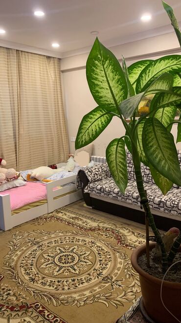 Köhnə tikili: Bakı, Montin, 1 otaqlı, Köhnə tikili, m. Nəriman Nərimanov, 40 kv. m — 5