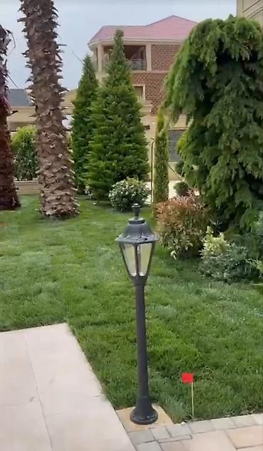 süni qazon qiyməti: Salam Alekum N1 Qazon satışı başladı Rulon qazon və landşaft — 6