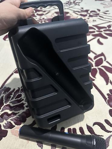 рупоры: Портативная акустическая система Greatnice GTS-2065 с беспроводным — 4