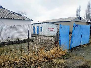 Продажа коттеджей и домов: !!!Срочно!!! Продается дом с участком 15 соток в тихом местечке — 19