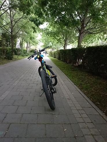 Velosipedlər: 24 lüy velosupet sürət sayı 7 tək skorusdu 250₼ almışam 150₼ satıram — 2