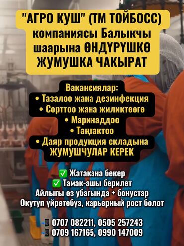 работа для мамочек в декрете на дому: "АГРО КУШ" (ТМ ТОЙБОСС) компаниясы Балыкчы шаарына ӨНДҮРҮШКӨ ЖУМУШКА