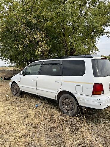 Honda Odyssey: 1998 г., 2.3 л, Автомат, Бензин, Универсал