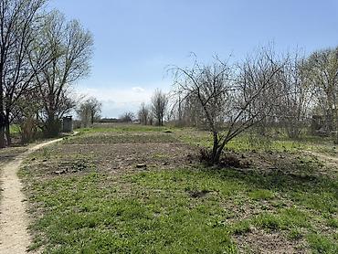 Продажа коттеджей и домов: Продается дом. г.Кара-Балта(в с.Вознесеновка). Дом состоит из — 9