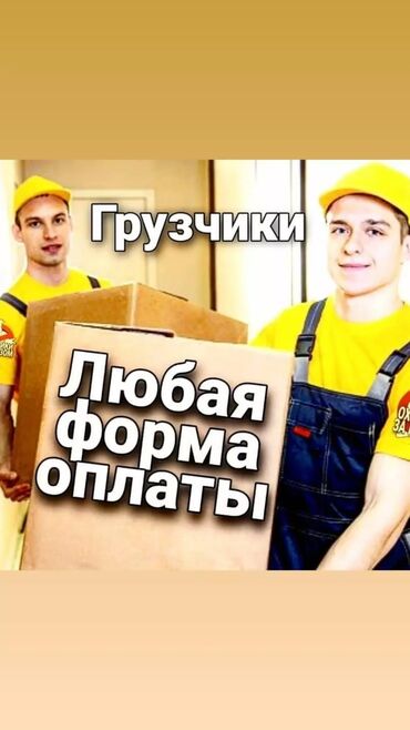 стого балдар керек: Жүк ташуучу. Тажрыйбалуу
