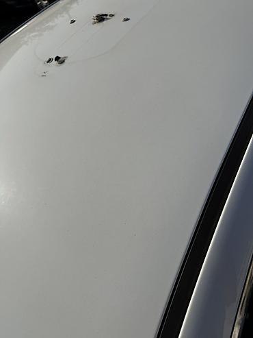 дордой 2 пикарная: Kia K5: 2020 г., 2 л, Автомат, Бензин, Седан — 7