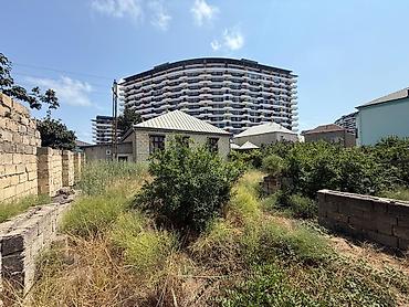 ot bicen kiraye: 3 sot, Tikinti, Mülkiyyətçi, Kupça (Çıxarış) — 3