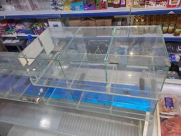 Холодильные витрины: Для мяса, мясных изделий, Кондитерские, Для напитков, Б/у — 17