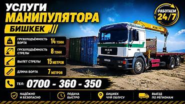 тонна: Стрела 15 м, 8 т, Борт 14000 кг — 2